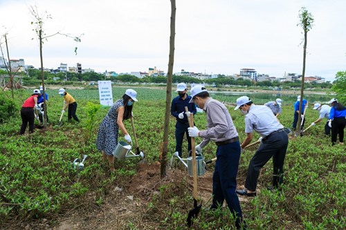 Thúc đẩy chương trình “Toyota chung tay xanh hóa học đường” năm 2021